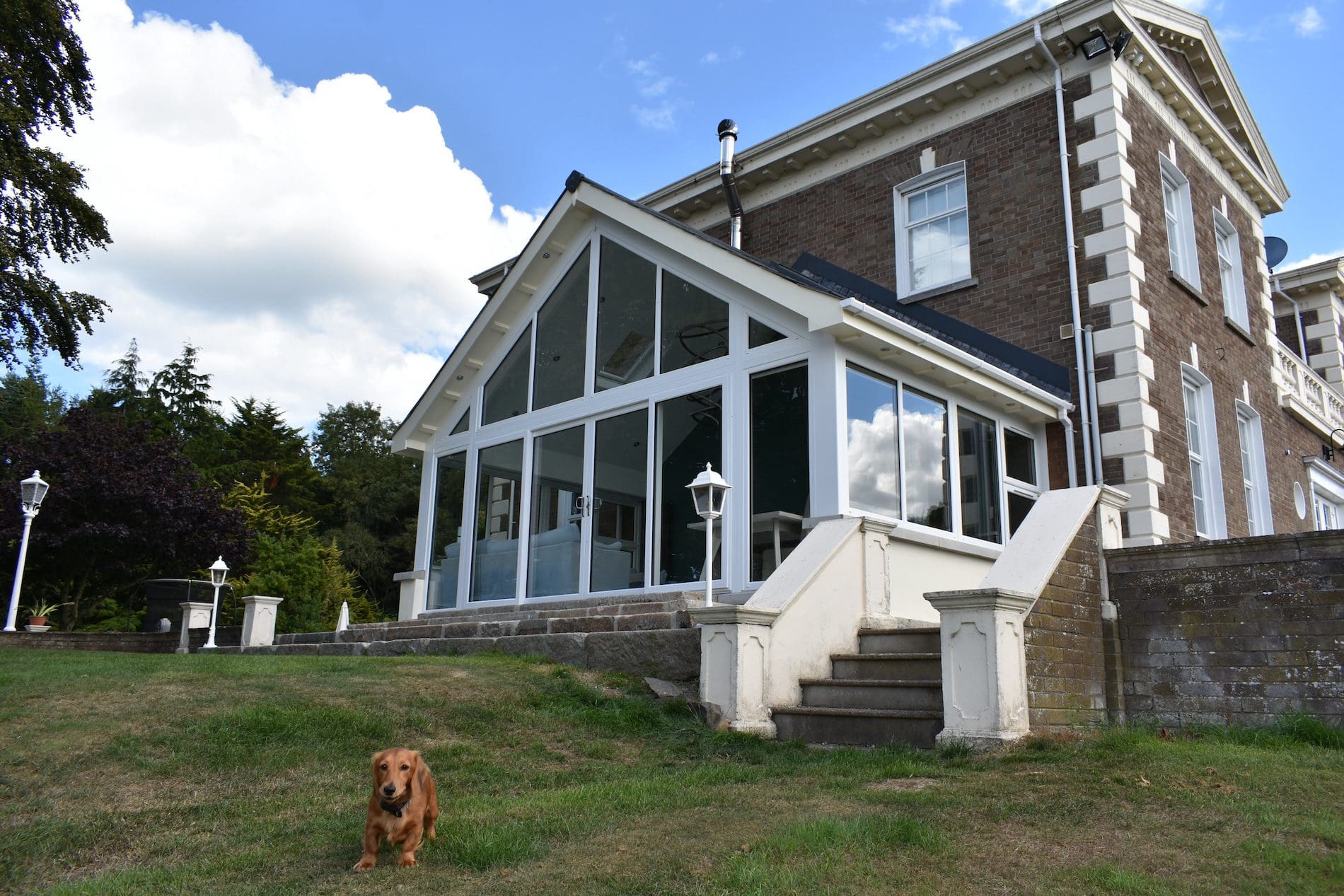 Sunroom With Dog